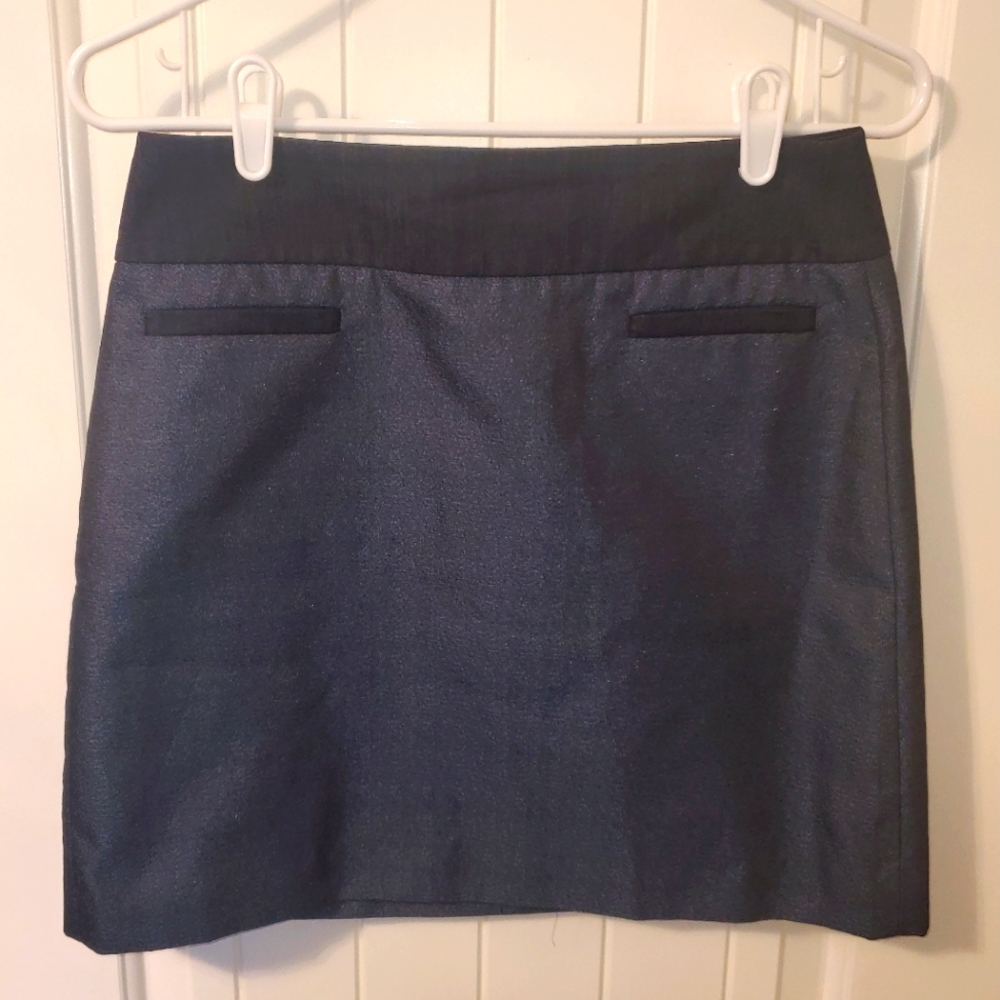 Ann Taylor LOFT Skirt 4P blue